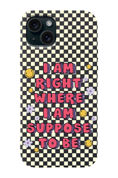 shoptocase Iphone 15 PLUS Uyumlu Dama Smile Desenli Lansman Telefon Kılıfı