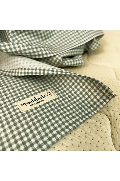 MundoLindo 100% Natural Cotton Gingham Single Elasticless 2 Piece Sheet Set Mint