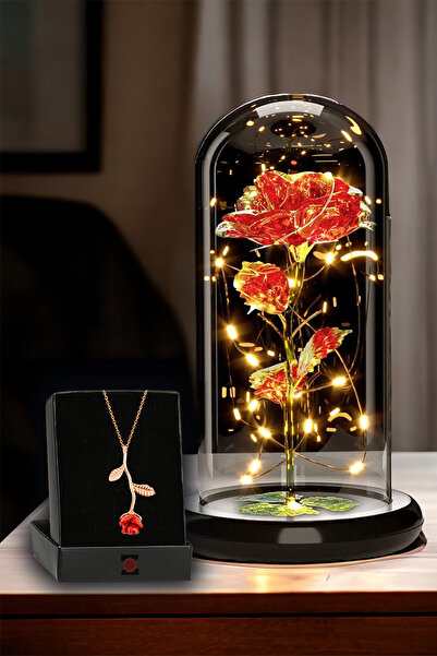 Zemtigo Fanus Içerisinde Peri Led Işıklı Kırmızı Solmayan Sonsuzluk Gülü Lamba Ve Gül Altın Kaplama Kolye
