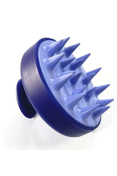 Lionesse Purple Pro 3-D Oval Hair Brush and Purple Hair Washing Comb