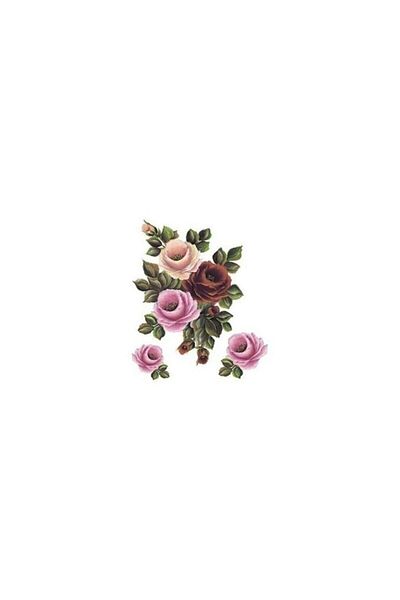 Cadence Boya Xl08 35x50 Rose Land