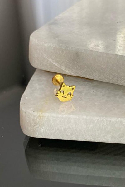 Jaida Moda Unisex Gold 316l Cerrahi Çelik Kedi Figürlü Tragus Labret Helix Pi...