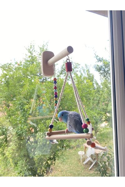 ADAPATİ PET Suction Cup Glass Front Perch with Bird Toy