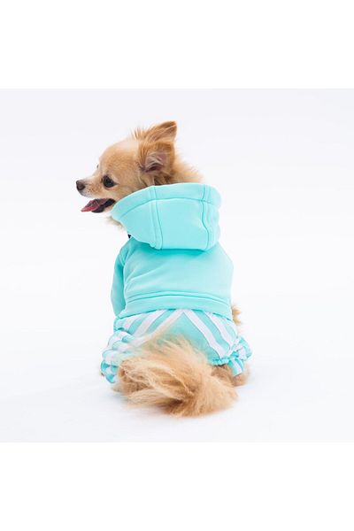 Pawstar Aqua Tuta Jumpsuit Small and Medium Breed