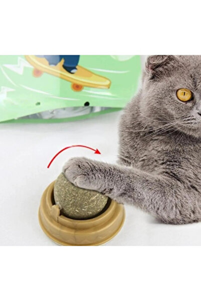 Wanderlust Natural Pleasure Adhesive Cat Herb Play Ball for Your Cat's Fun 1 piece