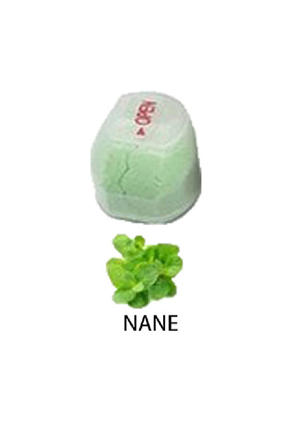 mak supply 2 Adet C Vitamini Duş Başlığı Filtre Yedek Kartuşu Nane Kokusu.