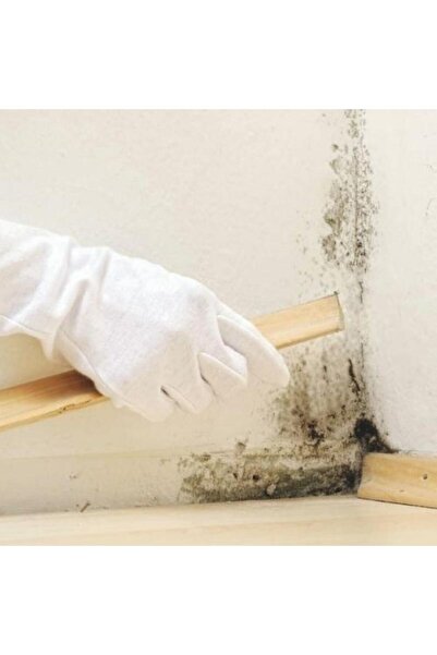 izower M 30 Küf Ve Rutubet Önleyici Anti-mould Paint- Beyaz- 3.5 Kg