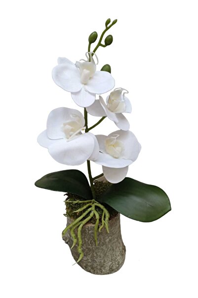 Cennet Home Kütük saksıda lüks ıslak orkide dekoratif hediyelik yapay çiçek