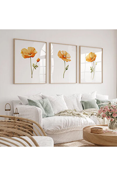 Dekorsiahome Ahşap Çerçeveli Tablo Seti California Poppy