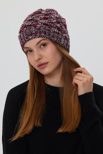 ALEXANDERGARDI BEANIE ALEXANDERGARDİ PENTRU FEMEI(3004)