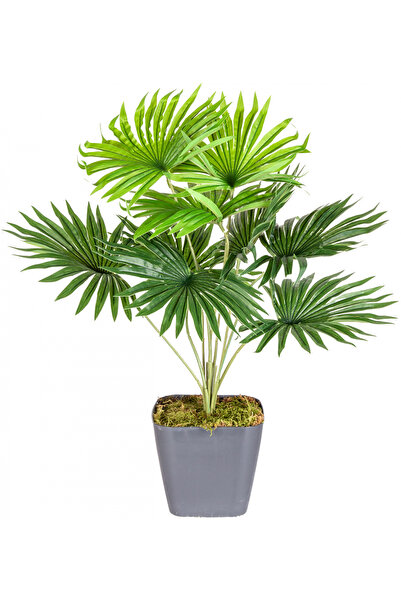 Herdekora وعاء نبات صناعي بمروحة نخلة مزخرفة حقيقية 9 أوراق خضراء 48 سم.