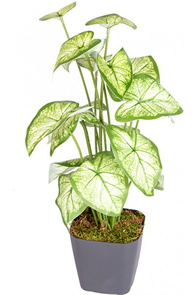 Herdekora نبات صناعي في وعاء سينغونيوم-ملاك مجنح ذو ملمس حقيقي 18 ورقة أخضر-أ...