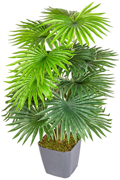 Herdekora Saksıda Yapay Palmiye Gerçek Dokulu 18 Yaprak Yeşil 63 Cm.