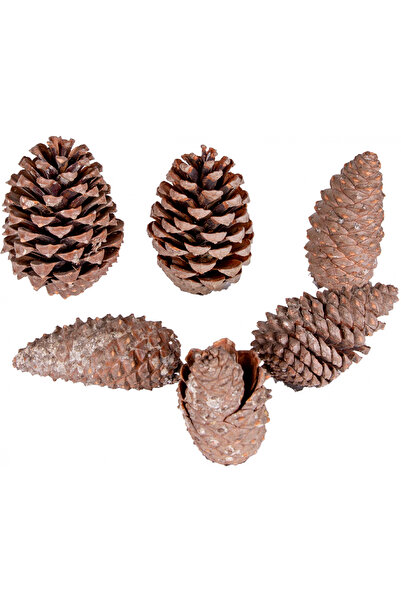 Herdekora Pachet de 6 conuri 8 - 13 cm
