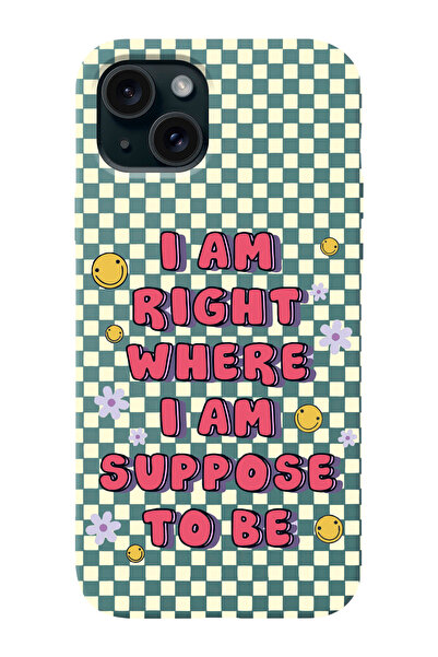 shoptocase Iphone 15 PLUS Uyumlu Dama Smile Desenli Lansman Telefon Kılıfı