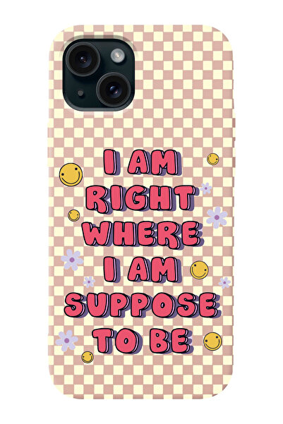shoptocase Iphone 15 PLUS Uyumlu Dama Smile Desenli Lansman Telefon Kılıfı