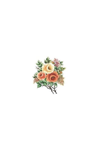 Cadence Boya Xl01 35x50 Rose Land