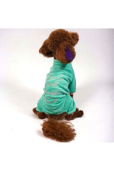 Pawstar Mint Smile Jumpsuit Small and Medium Breed