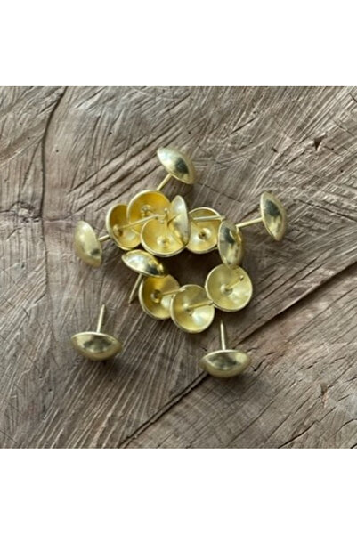 DMR 21MM PARLAK SARI KABARA RAPTİYE GOLD SARI KOLTUK KAPI ÇİVİSİ 20ADET
