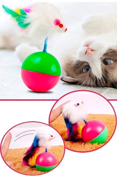 AYGÖREN HOME Cat with Mouse Play Ball - Hacı Yatmaz