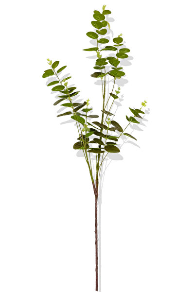 Cihan Çiçekçilik Yapay Okaliptus Tek Dal 93 Cm