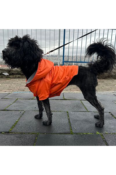 Patte Zone Rain Mandarin - Cat Dog Raincoat
