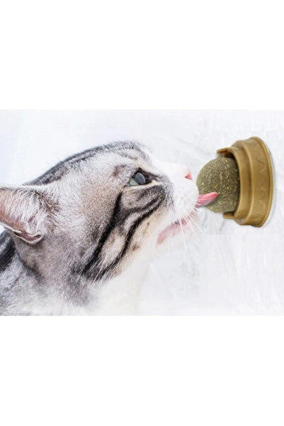 Wanderlust Natural Pleasure Adhesive Cat Herb Play Ball for Your Cat's Fun 1 piece