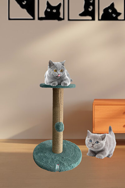 Nursoft Nook Kedi Tırmalama Köşesi Turkuaz