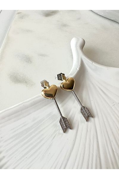 Rare Gold Jewelry Eros Steel Earrings - silver