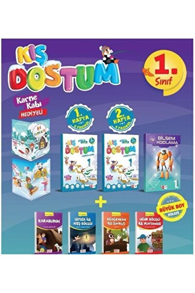 Artı Eğitim Yayınları 1. SINIF KIŞ DOSTUM TATİL SETİ