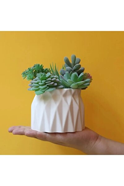 Havalı Tasarım Dekoratif Sükulent Kaktüs Saksı
