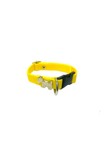 Dino Pet Butik Aksesuar Dog figure neck collar