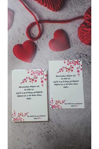 DESİGN BAHAR DALLI MARTENİÇKA KART 7*10 CM 30 ADET