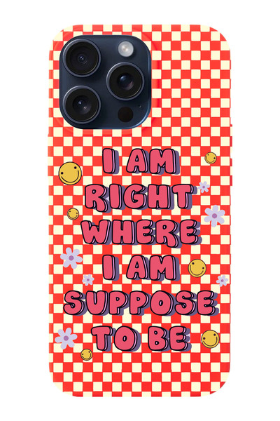 shoptocase Iphone 15 PRO Uyumlu Dama Smile Desenli Lansman Telefon Kılıfı