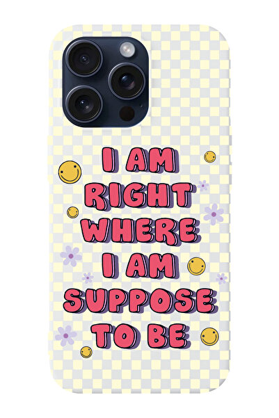 shoptocase Iphone 15 PRO MAX Uyumlu Dama Smile Desenli Lansman Telefon Kılıfı