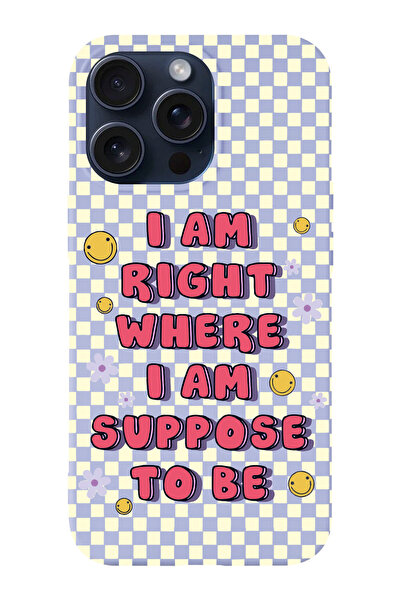 shoptocase Iphone 15 PRO Uyumlu Dama Smile Desenli Lansman Telefon Kılıfı