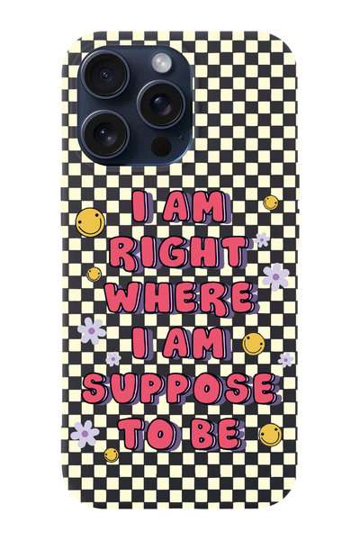 shoptocase Iphone 15 PRO MAX Uyumlu Dama Smile Desenli Lansman Telefon Kılıfı