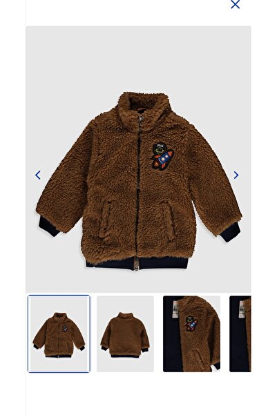 LC Waikiki Lcw Baby Balıkçı Yaka Aplikeli Erkek Fermuarlı Pelüş Mont