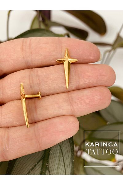 Karınca Piercing Star Helix Conch Flat Cartilage Tragus Ear Piercing Earrings Surgical Steel