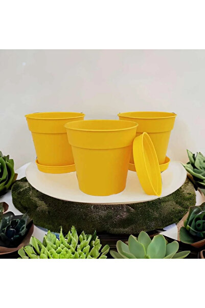 seazde POLİWORK Terrakota 3lü Saksı MODERN SARI