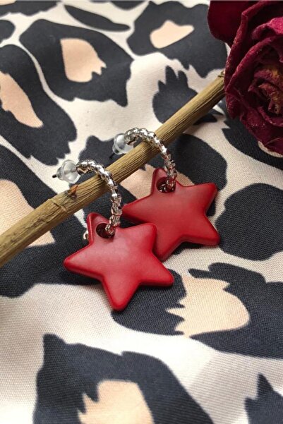 Leerybee Matte Red Antiallergic Heart Earrings