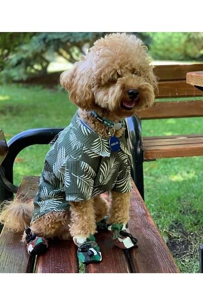 Bi Dolap Ponçik Bi Relax Tshirt Green Stretchy Buzzy Fabric Cat Dog Outfit & T-Shirt