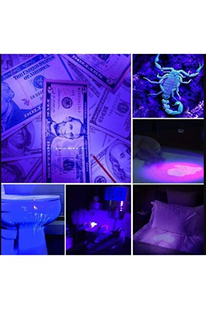 hitteknoloji Uv Mor El Feneri - Parmak Izi - Para Kontrol - Bakteri - Kedi Kö...