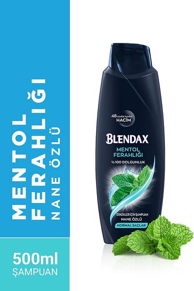 Blendax 500 مل شامبو مينثول للرجال