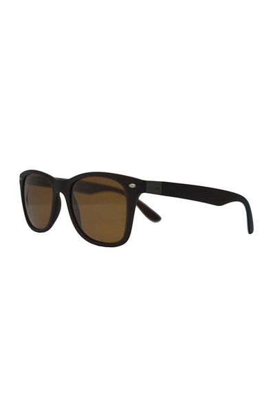 Swing Unisex Brown Sunglasses Ss154 C216