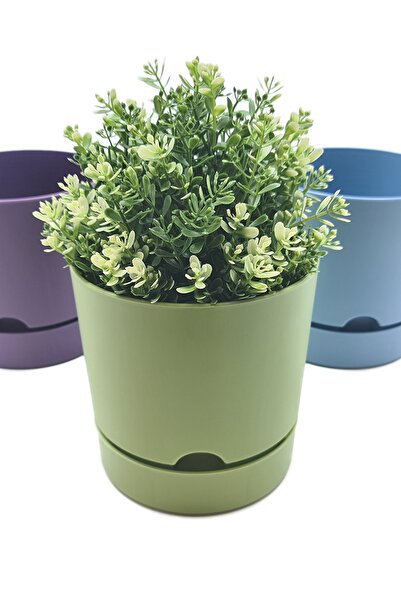 DG Store Yeşil Begonya Saksı 18 Cm 3.3 Lt.