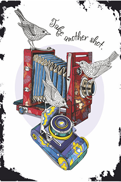 Hayat Poster παλιά φωτογραφική μηχανή και πουλιά vintage στυλ ρετρό ξύλινη αφίσα