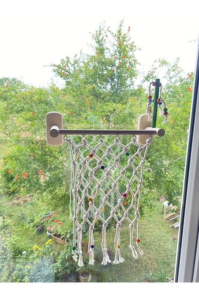 ADAPATİ PET Glass Front Climbing Area with 4 Suction Cups and Bird Toy