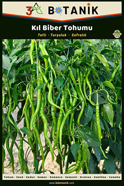3A BOTANİK Tatlı Kıl Biber Tohumu, Yerli ve Sürdürülebilir Tohum, 5 Gram Bibe...