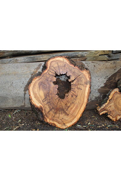 oliveforestwood Zeytin Ağacı Ham Sehpa Tablası